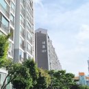 유성대로(유성-31) 이미지