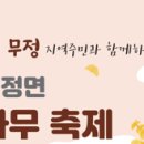 무정면 은행나무 축제 이미지