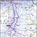 편백나무의 치유의 숲, 건강의 숲길, 장성 축령산 (2011. 11. 13) 이미지