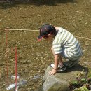 숲속유치원 이미지