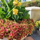 여수시 의회 계단2 이미지