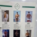 원 피티 이미지