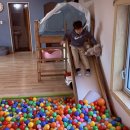 제주키즈펜션 개구리펜션 | 제주도 산방산 키즈펜션 가족단채펜션 추천 제주개구리키즈펜션