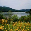 산방천길 네이버블로그