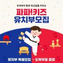 용인 파파태권도장 이미지