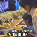 인어공주 | 부산 씨라이프 아쿠아리움 인어공주 공연 후기 및 주차장 정보 공유