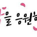 힘찬 효 태권도장 이미지