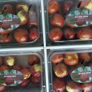 한교농장 이미지