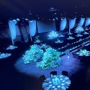 모든장식 | 신라호텔 다이너스티홀 웨딩 본식 후기2 / 꽃장식의 모든것