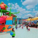 흑룡태권도 이미지