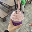 외벌이 5인가족 현실 재테크 일주일 장보기와 식탁
