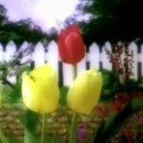 상가나무공인중개사사무소 이미지