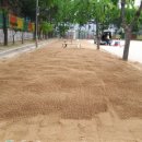 대구이곡초등학교 이미지