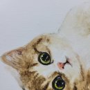 기초 수채화 기법부터 작품까지 이미지