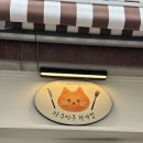 청주 휘낭시에 에그타르트 구움과자 맛집 마쿠마쿠 평일 오픈런 내돈내산 솔직 후기 주문방법 예약 주차