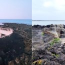 아래아 민박 연합뉴스