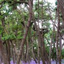 장항가든 이미지