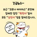 도전다이어트센타