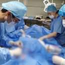 분당24시동물의료센터 이미지