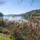 은파호수공원 이미지