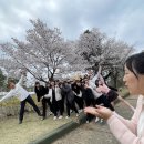 충주예성여자고등학교 이미지