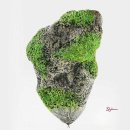 뜨는 돌 이미지