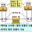 다성바이오 이미지