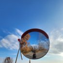 여강길(9코스 너른들길) | [여강길] 9코스 너른들길 (코스길이 11.8km)《너른들길 이야기》_20260102