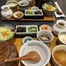 용지민물장어 | [창원 용호동] 창원 가로수길 민물장어덮밥 히츠마부시 맛집 ‘양산도 창원점‘ 내돈내산 솔직후기