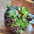 무의도맛집 웰빙미나리쌈밥