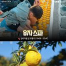 유자향기2 이미지