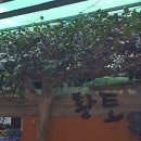 벗길민박 네이버블로그