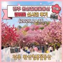 꽃동산 | 전주 겹벚꽃 명소, 완산칠봉꽃동산 실시간 후기 (2026년 4월 11일)