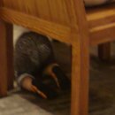 예담커피숍 이미지