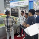 스카이오토 이미지