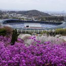 복사꽃공원 이미지