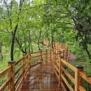 선돌민박 이미지