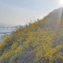 무수막 - 성동구 | 성동구 맛집 파르코무수막 팝업 후기
