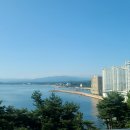 스테이옹치 이미지