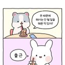 솜이드림 | 인간은 늘 똑같은 실수를 반복하지•••😶‍🌫️👊🏻
