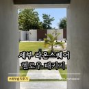 [세부 자유여행] 라온스퀘어 헬로우팩 스탠다드 0.5박 마사지 픽드랍 후기