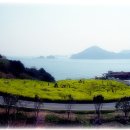 박물관주유소 이미지