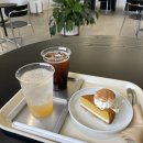 언두 | 제주 행원리카페 언두필드 나만 알고 싶은 식물 감성카페 솔직 리뷰