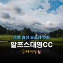 알프스대영 골프빌리지 | 알프스대영CC 후기 : 골프와 자연이 어우러진 힐링 라운드