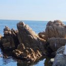 대본3리 이미지