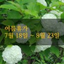 블룸스앤드