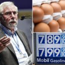 NY Times의 Paul Krugman은 '인플레이션은 끝났다'고 말합니다. 음식, 가스 및 임대료를 제외하면 이미지