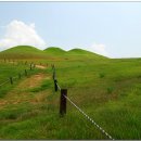 송학동-07 티스토리