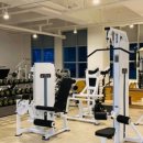 머슬앤핏 이미지