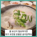 닭올닭 - 달서구 | ■감기몸살에 좋은 닭올닭 송이삼계탕